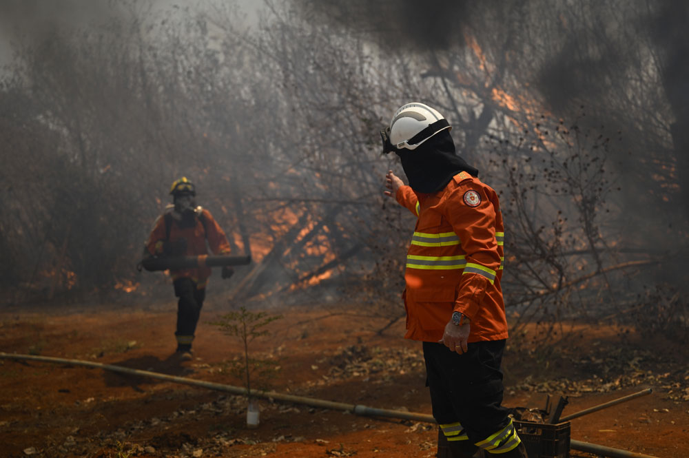 Detrás del fuego