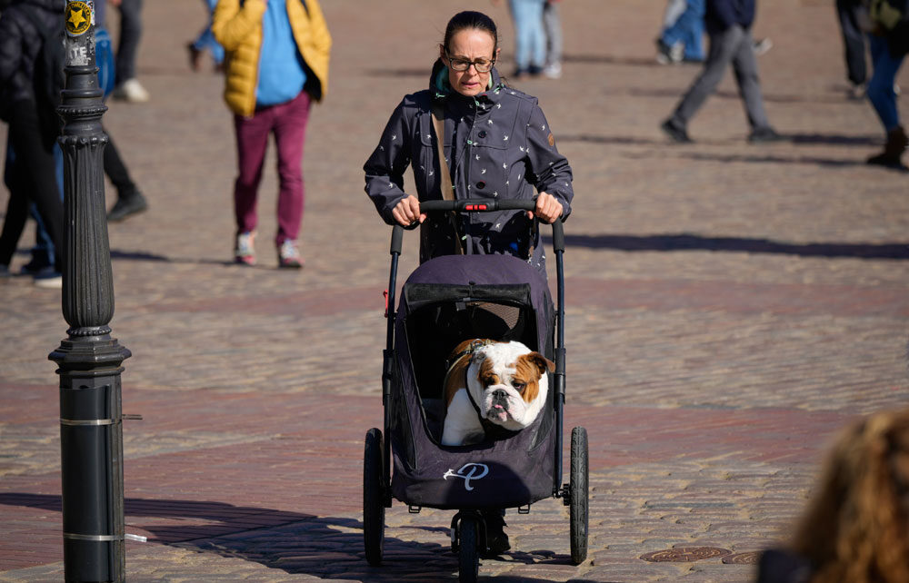 La ciudad y los perros