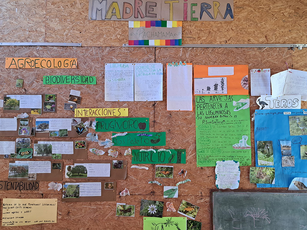 Educación compartida