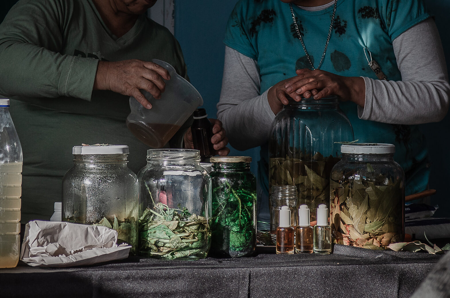 La memoria de las plantas