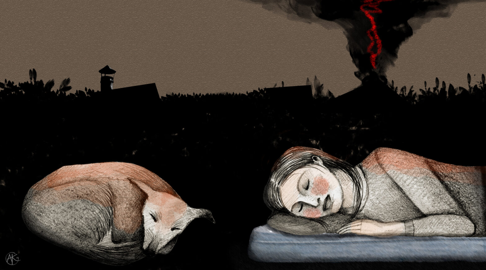 La noche del reino de los perros