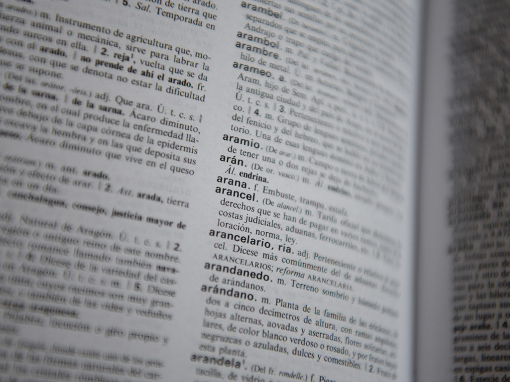 Las palabras del año