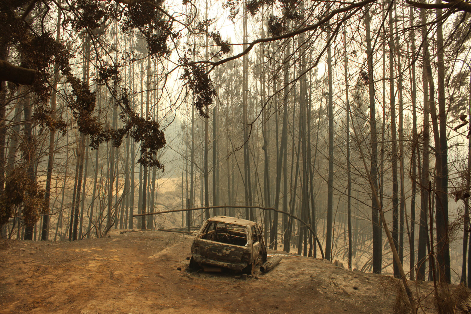 Detrás de las llamas