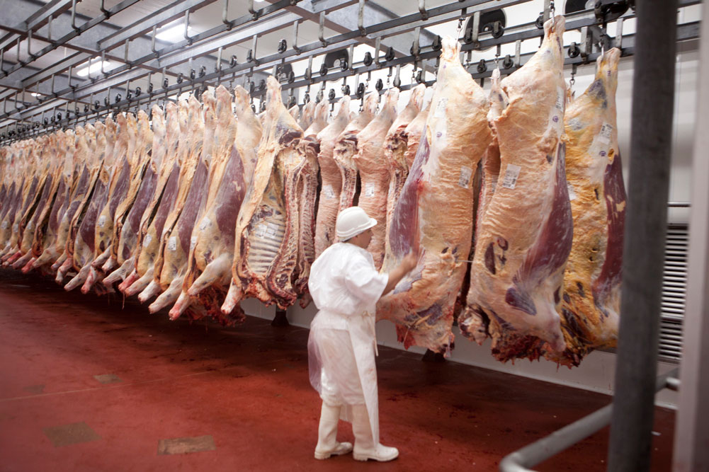 Bifes en zona de tensión