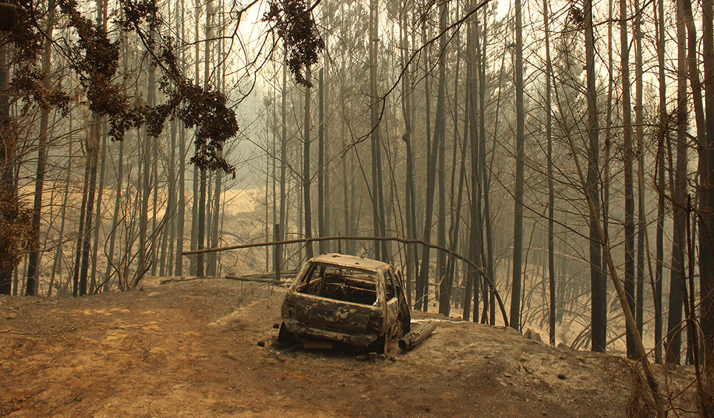 Después de las llamas