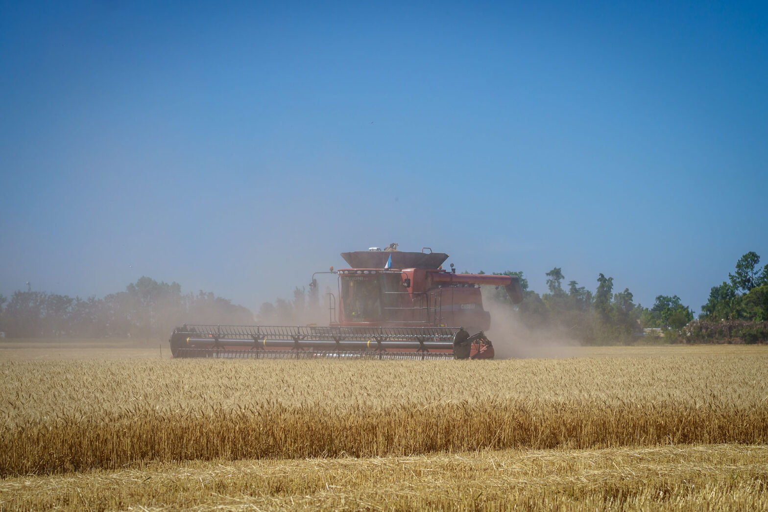 Pocos ganadores en medio de la crisis