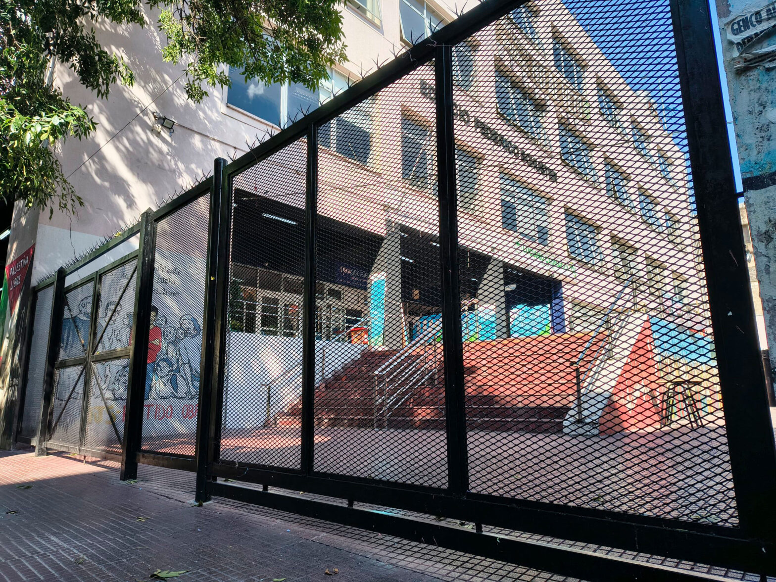 Asfixia universitaria