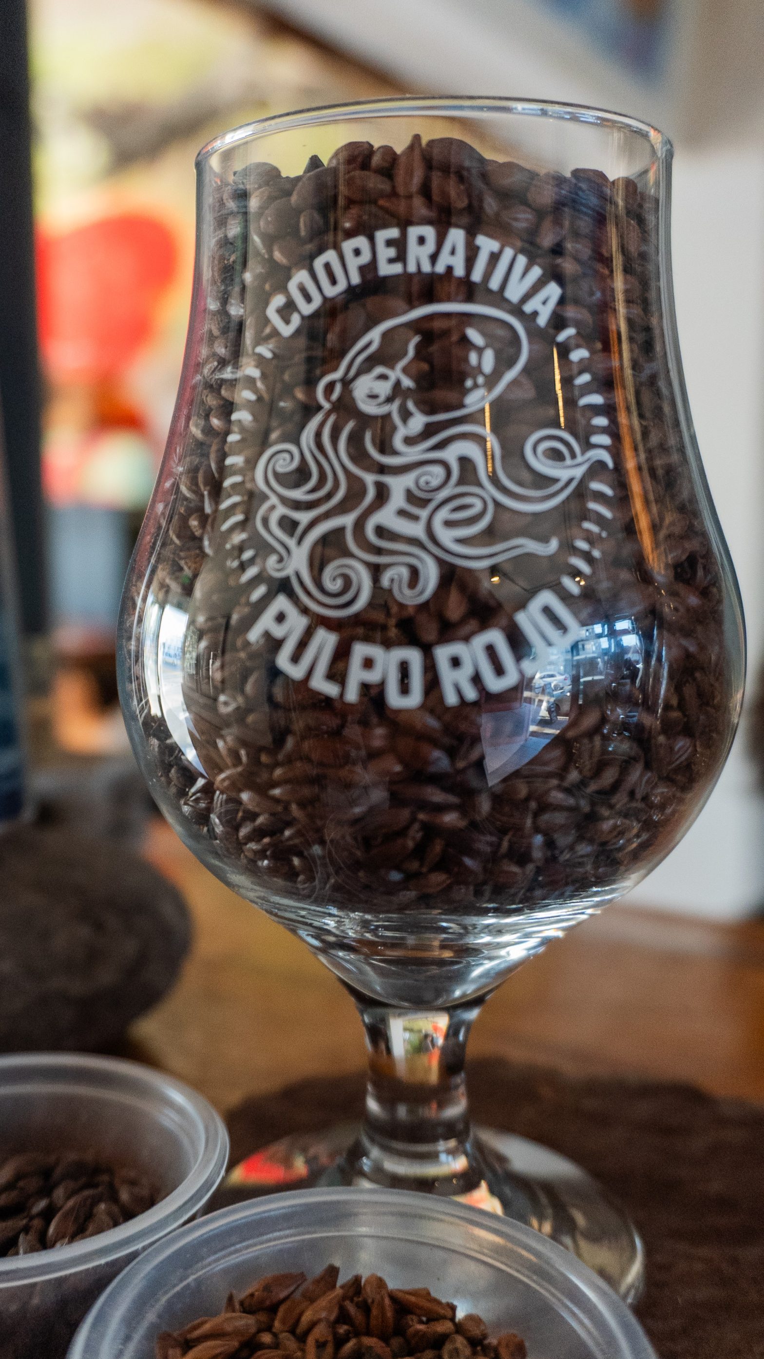 Cerveza con identidad patagónica