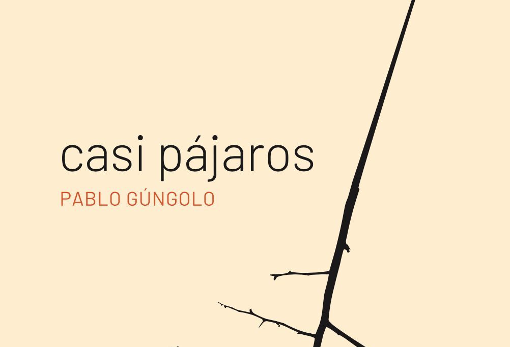 Casi pájaros