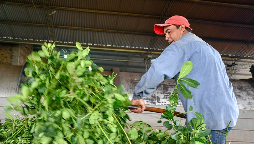 Agricultura para un futuro sustentable